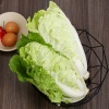 Cải bẹ dún tươi ngon và an toàn